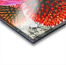 Gone Too Soon Acrylic print