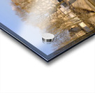 Pont Neuf Acrylic print