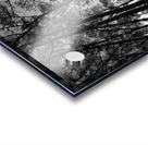 Sutro Peak Acrylic print