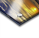 Amelia Island Acrylic print