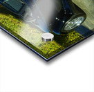 On The Prowl Acrylic print