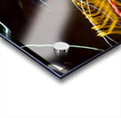 LLF 0588 Acrylic print