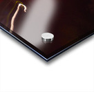 LLF 0590 Acrylic print