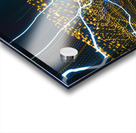 LLF 0508 Acrylic print