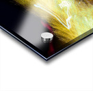 LLF 0594 Acrylic print