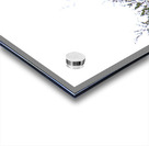 Pheasant 3 Acrylic print