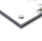 Pheasant 2 Acrylic print