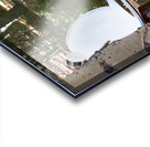 Rustic Toilet 2 Acrylic print