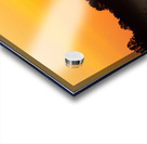 Grassland Sunrise 3 Acrylic print