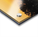 Grassland Sunrise 2 Acrylic print