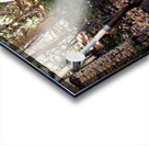 Rustic Toilet Acrylic print