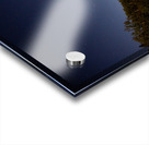 Moonlit Stars Acrylic print