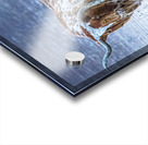 Wrong Way  Acrylic print