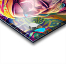 The Hippie Guy Acrylic print