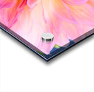 Dahlia Pink Ice Acrylic print