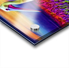 3EBBEDBF 934F 41E5 9E96 A289D07A36F6 Acrylic print