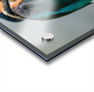 01D5FC34 4178 44F6 8EB1 A4CCE2C8547B Acrylic print