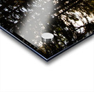 Moonlit Tent Acrylic print