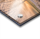 Betsie in Gold Acrylic print