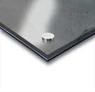 Life Grey II Acrylic print