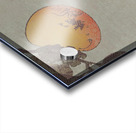 Birds on a Branch Acrylic print