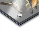 Bringing the Music 2 Acrylic print