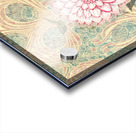 Pink Dahlia Acrylic print