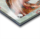 Designer Horse  Acrylic print