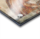 Designer Horse 2 Acrylic print