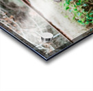 51AB78AD CEDA 4A0E B264 E44C17F70147 Acrylic print