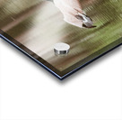 B7DCA13C 2177 46DC ABD2 30CB7D01CFE2 Acrylic print