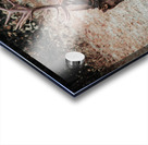 E60A8154 5406 4B68 8874 98C4A4E5B47C Acrylic print