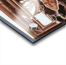 Take The Bull By The Horns Acrylic print