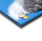 His Majesty Impression Acrylique