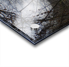 Lonely walk 3 Acrylic print