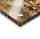 Lonely walk 4 Acrylic print