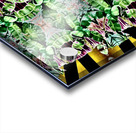 Perception   Acrylic print