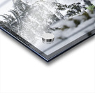 Snow days 8 Acrylic print