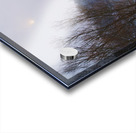 Snow days 1 Acrylic print