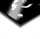 Marine Acrylic print