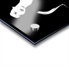 Marine Thinking Acrylic print