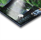 Along the Lake Acrylic print