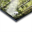 A Place to Reflect Acrylic print