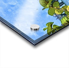 Turtles View Naples Pier Acrylic print