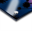 FAD61E65 9B23 4C52 9D35 E72313C8E172 Acrylic print