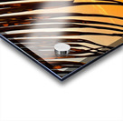 3A4CEFB2 39F6 43D3 A5C5 E65BD1F72E11 Acrylic print