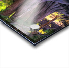 09F7C077 F323 47CC A3B3 C9ED6A07C8BF Acrylic print