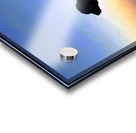 Dog Sunset Acrylic print