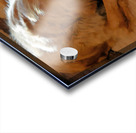 At Days End Acrylic print