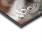 Butterfly Acrylic print